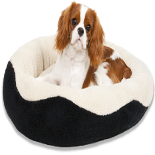 cavalier